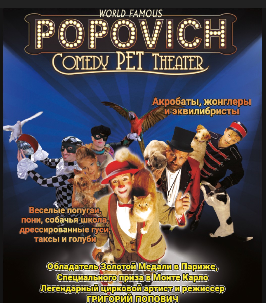 POPOVICH Comedy PET Theater